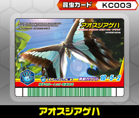 アオスジアゲハ（KC003）［未確定］