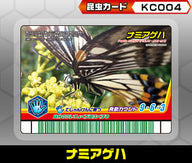 ナミアゲハ（KC004）［未確定］