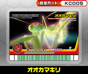 オオカマキリ（KC005）［未確定］