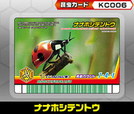ナナホシテントウ（KC006）［未確定］
