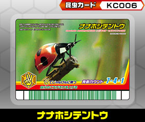 ナナホシテントウ（KC006）［未確定］