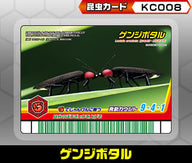 ゲンジボタル（KC008）［未確定］