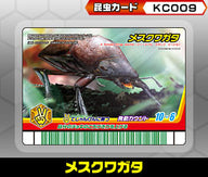 メスクワガタ（KC009）［未確定］