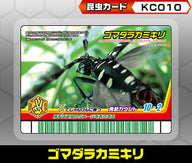 ゴマダラカミキリ（KC010）［未確定］