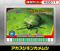 アカスジキンカメムシ（KC011）［未確定］