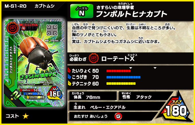 フンボルトヒナカブト（M-S1-20）［未確定］