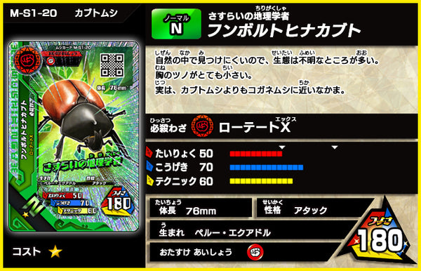 フンボルトヒナカブト（M-S1-20）［未確定］