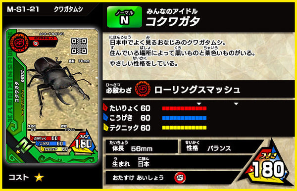 コクワガタ（M-S1-21）［未確定］