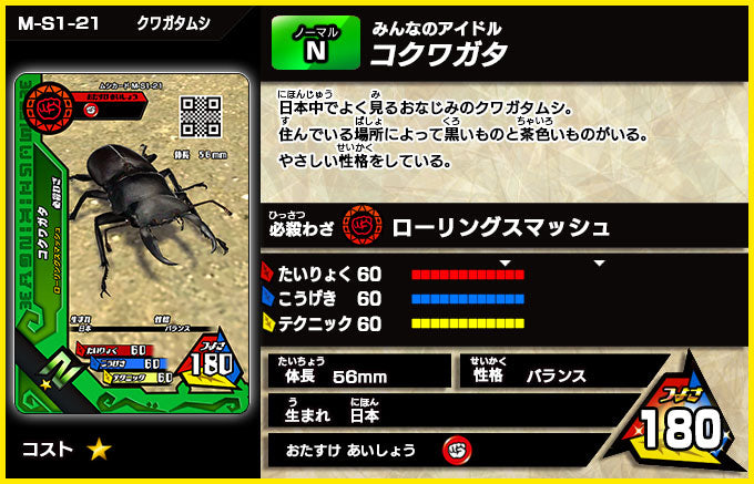 コクワガタ（M-S1-21）［未確定］