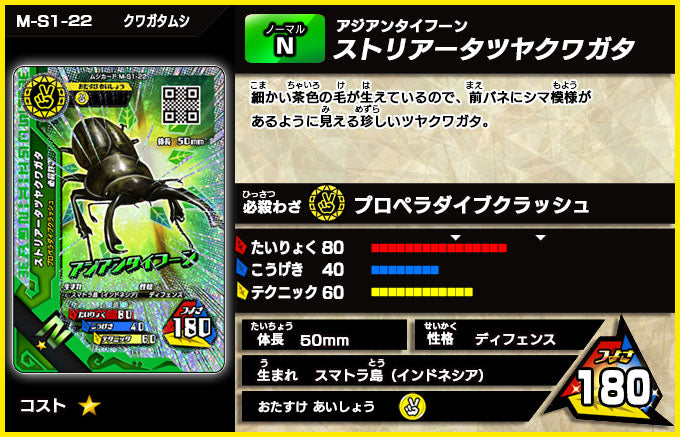 ストリアータツヤクワガタ（M-S1-22）［未確定］