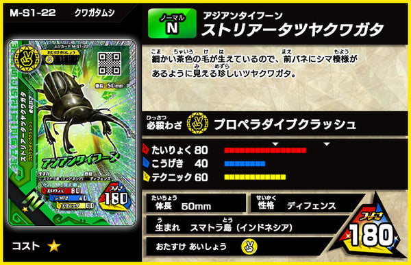 ストリアータツヤクワガタ（M-S1-22）［未確定］