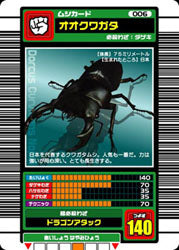 オオクワガタ（006）［未確定］