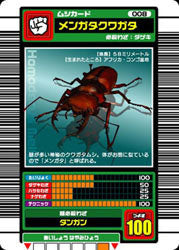メンガタクワガタ（008）［未確定］