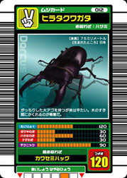 ヒラタクワガタ（012）［未確定］