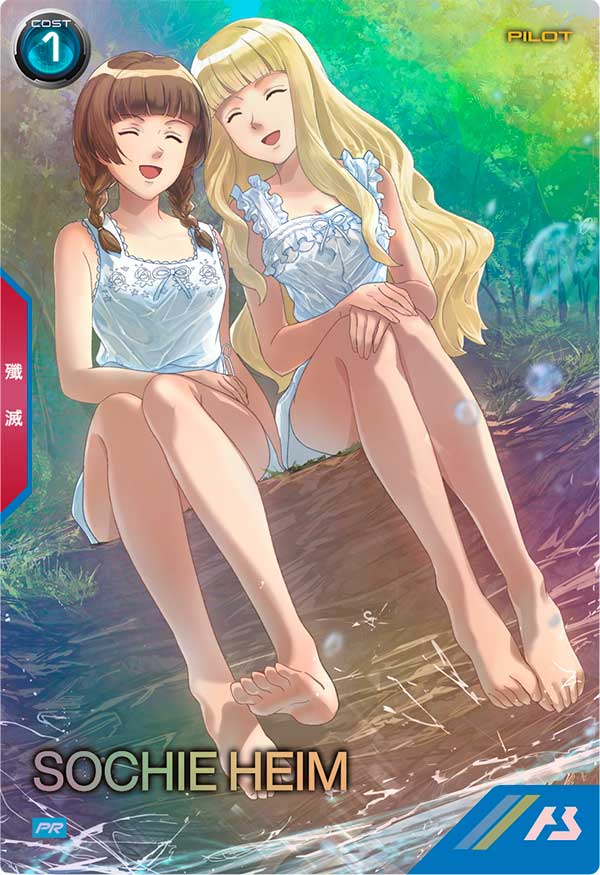 ソシエ・ハイム（PR-353）［PR］