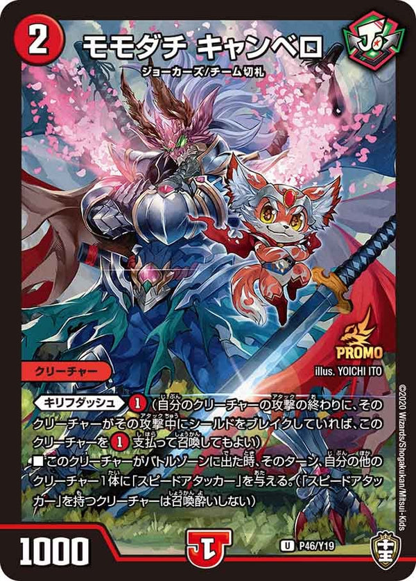 P46/Y19 モモダチ キャンベロ