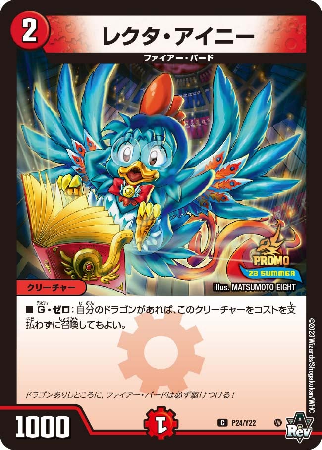 P24/Y22 レクタ・アイニー