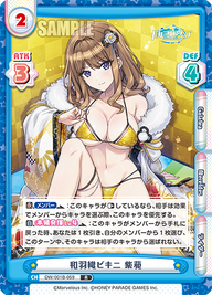 和羽織ビキニ 紫苑（DW/001B-059）