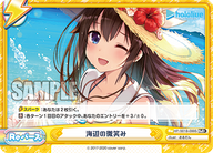 海辺の微笑み（HP/001B-099S）