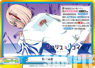 闘う決意（LR/001E-029SPb）