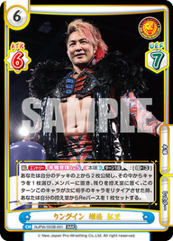 リングイン 棚橋 弘至（NJPW/003B-001）
