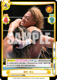 海野 翔太（NJPW/003B-003S）