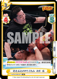 電光石火の押さえ込み 矢野 通（NJPW/003B-027）