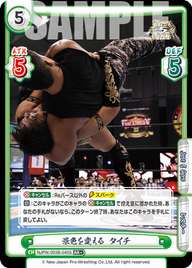 景色を変える タイチ（NJPW/003B-040S）
