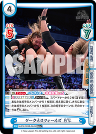 ダークネスフォールズ EVIL（NJPW/003B-044S）