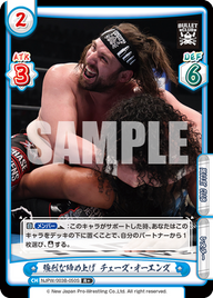 強烈な締め上げ チェーズ・オーエンズ（NJPW/003B-050S）