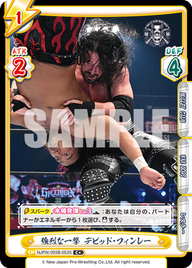 強烈な一撃 デビッド・フィンレー（NJPW/003B-053S）