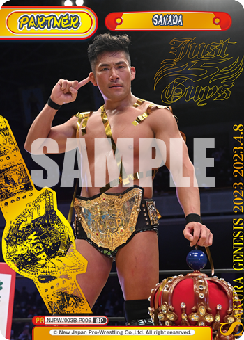 SANADA（NJPW/003B-P006）