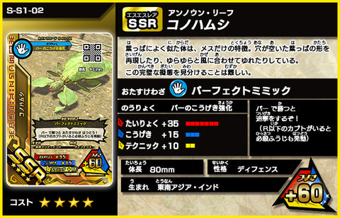 コノハムシ（S-S1-02）［未確定］