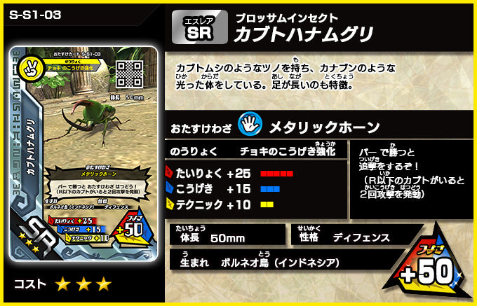 カブトハナムグリ（S-S1-03）［未確定］
