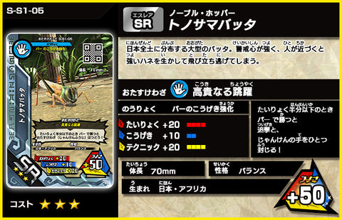 トノサマバッタ（S-S1-05）［未確定］
