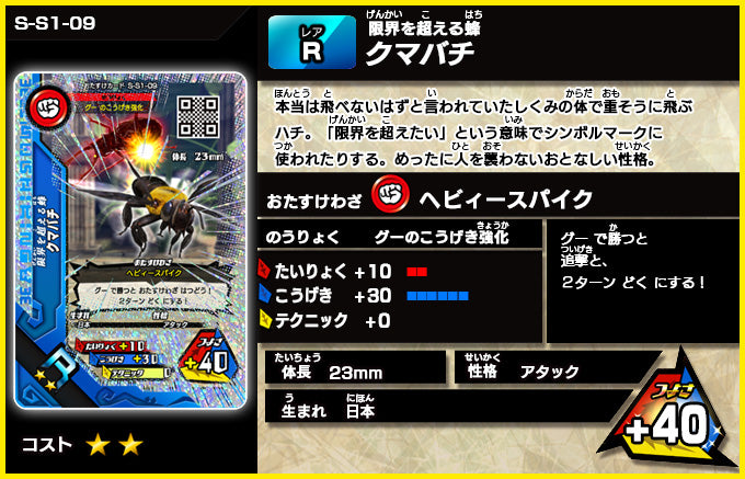 クマバチ（S-S1-09）［未確定］