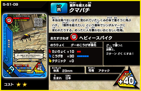 クマバチ（S-S1-09）［未確定］