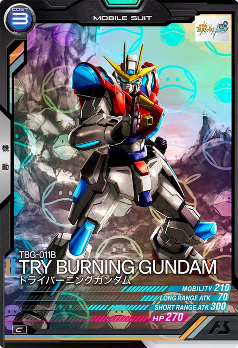 トライバーニングガンダム（VE03-021）［C / HAROGRAM］