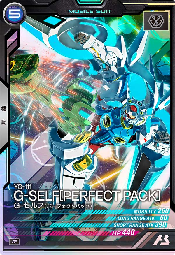 G-セルフ（パーフェクトパック）（VE03-024）［R / HAROGRAM］